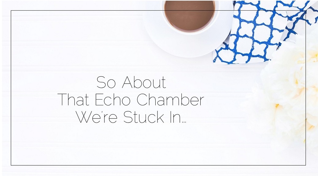 So About That Echo Chamber We Re Stuck Sahar S Blog